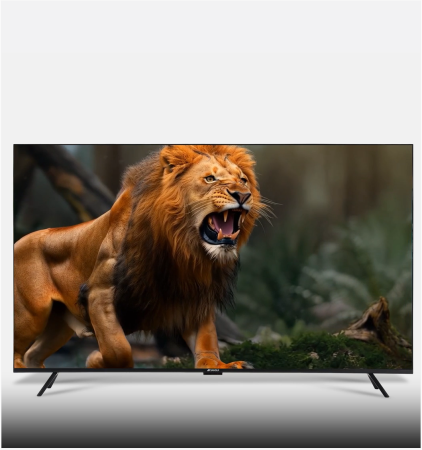 Quantum Pro LED Series
