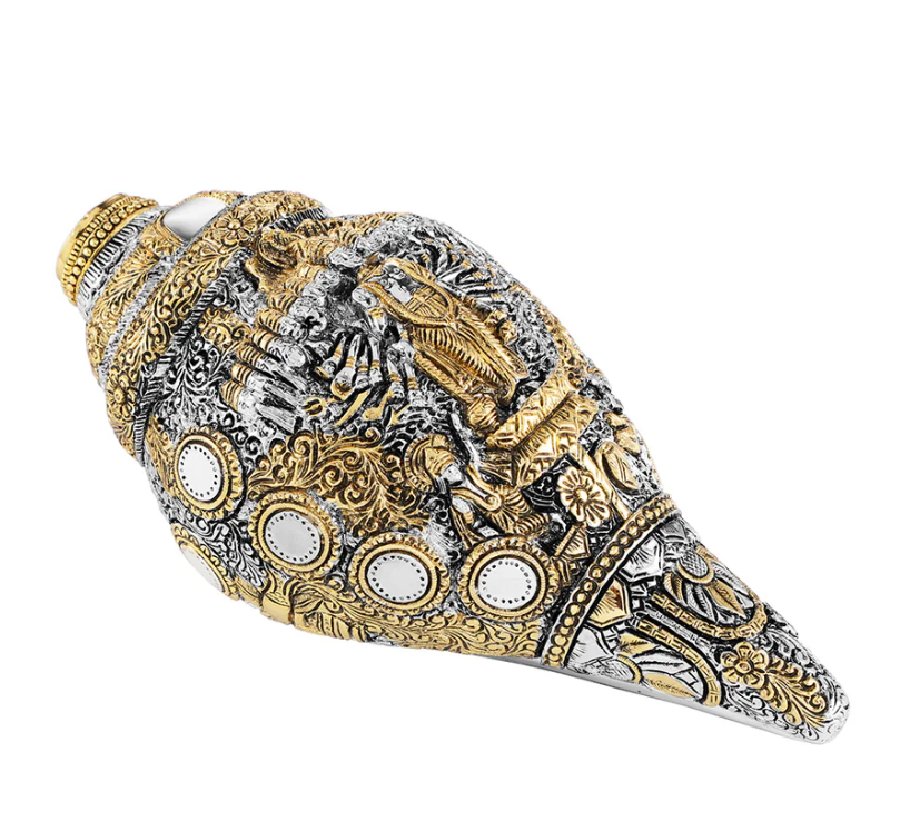 Vishnu Shankh Glossy Dual Tone